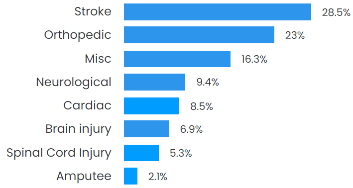 Bar graph showing that 28.5% of patients at SCC were in the Stroke program, 23% were in the Orthopedic program, 16.3% were in miscellaneous programs, 9.4% were in Neurological programs, 8.5% were in Cardiac programs, 6.9% were in Brain injury programs, 5.3% were in Spinal Cord Injury programs, and 2.1% were in Amputee programs.