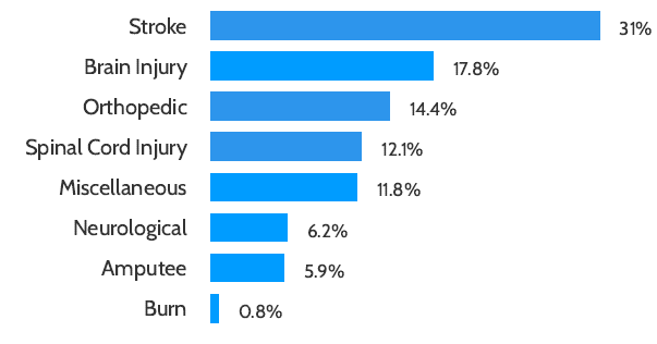 Bar chart showing patients served by diagnosis. Stroke 31%, brain injury 17.8%, orthopedic 14.4%, spinal cord injury 12.1%, miscellaneous 11.8%, neurological 6.2%, amputee 5.9%, burn 0.8%.