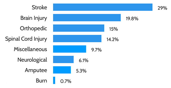 Bar chart showing patients served by diagnosis. Stroke 29%, brain injury 19.8%, orthopedic 15%, spinal cord injury 14.2%, miscellaneous 9.7%, neurological 6.1%, amputee 5.3%, burn 0.7%.