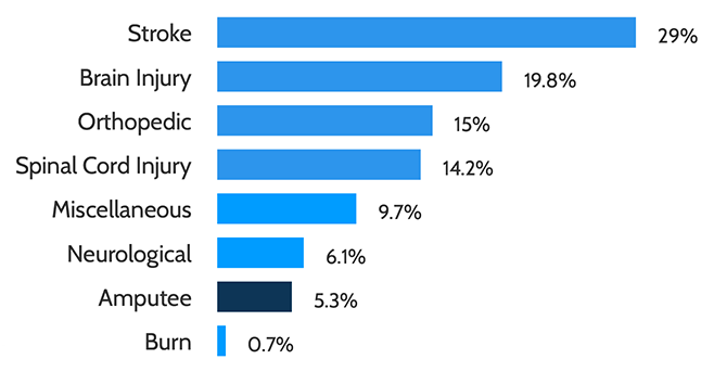 Bar chart showing patients served by diagnosis. Stroke 29%, brain injury 19.8%, orthopedic 15%, spinal cord injury 14.2%, miscellaneous 9.7%, neurological 6.1%, amputee 5.3%, burn 0.7%.